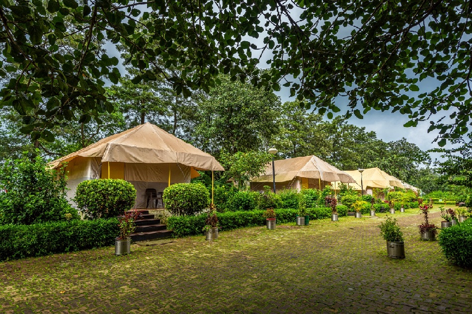 Holiday Homes in Amarkantak