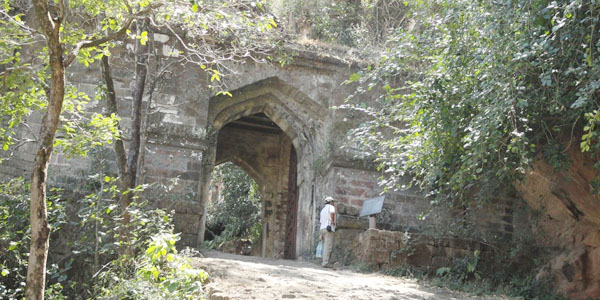 Bandhavgarh Madhya Pradesh