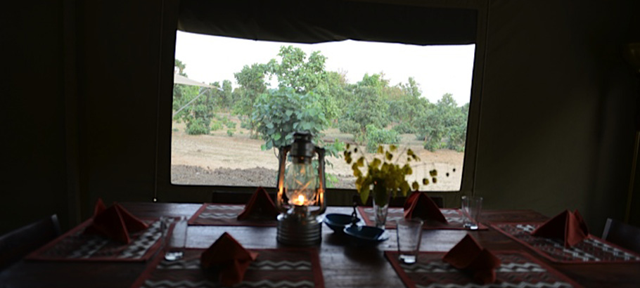 Bagh Tola in Bandhavgarh