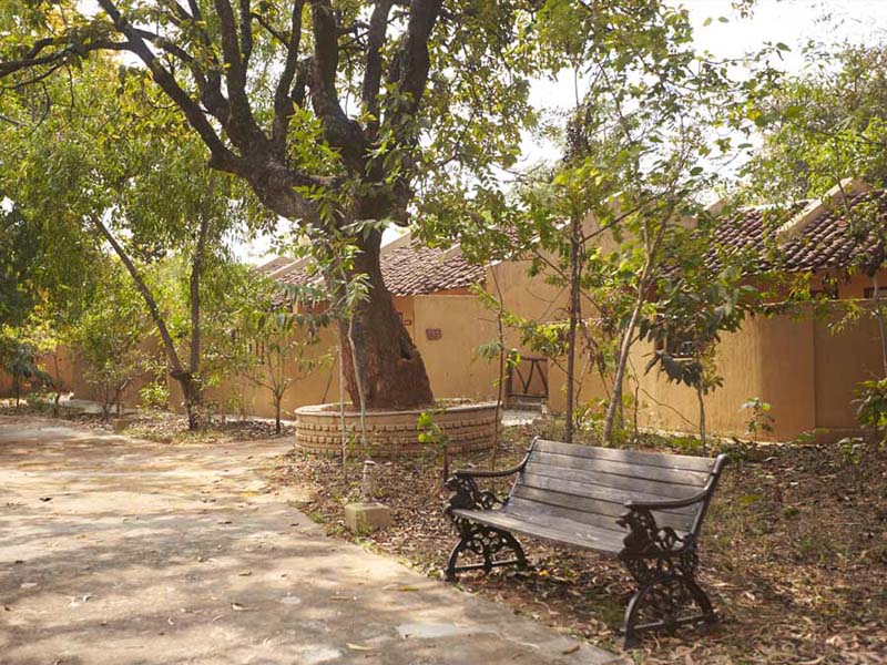 Bandhav Vilas in Bandhavgarh