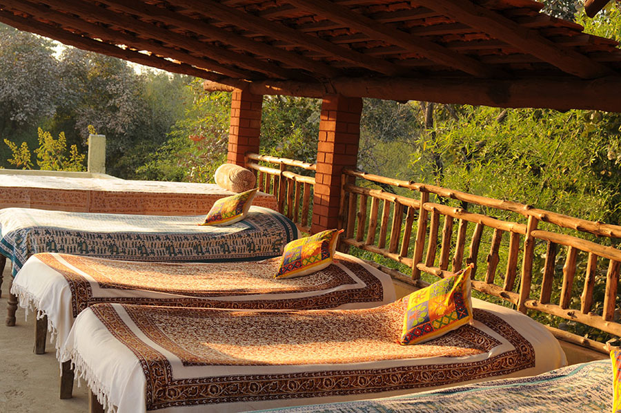 Bandhavgarh Jungle Lodge