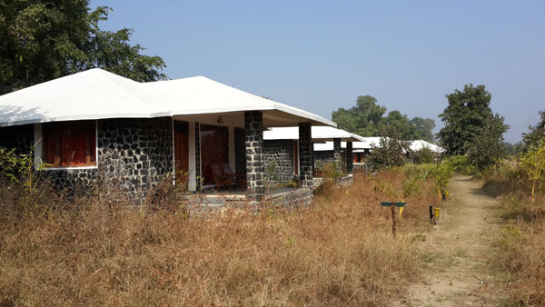 Bandhavgarh Meadows in Bandhavgarh