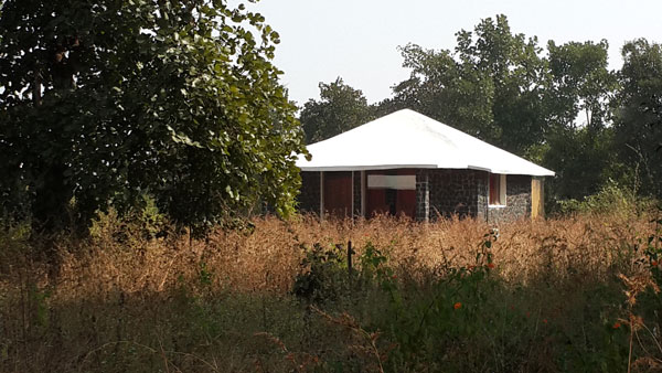 Bandhavgarh Meadows in Bandhavgarh