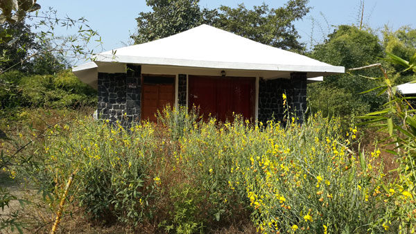 Bandhavgarh Meadows in Bandhavgarh