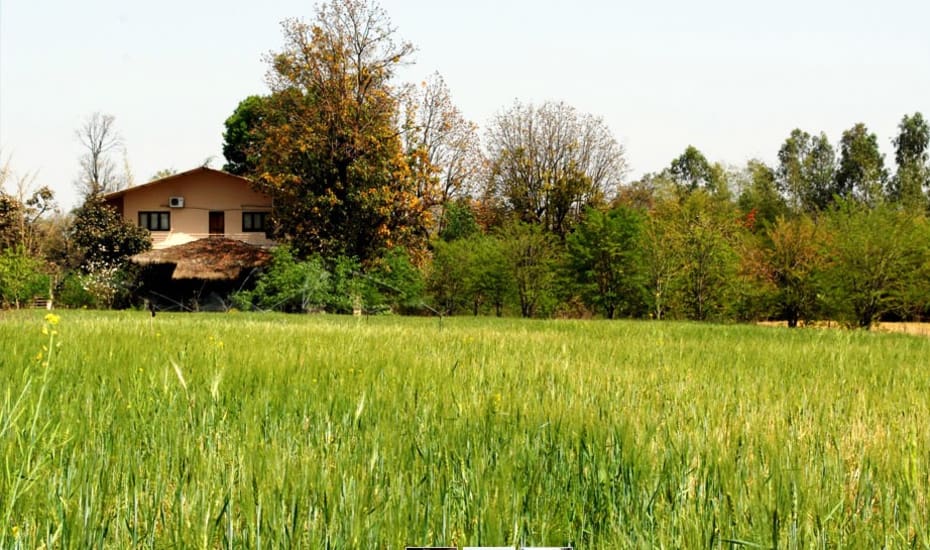 Camp Aranya in Bandhavgarh