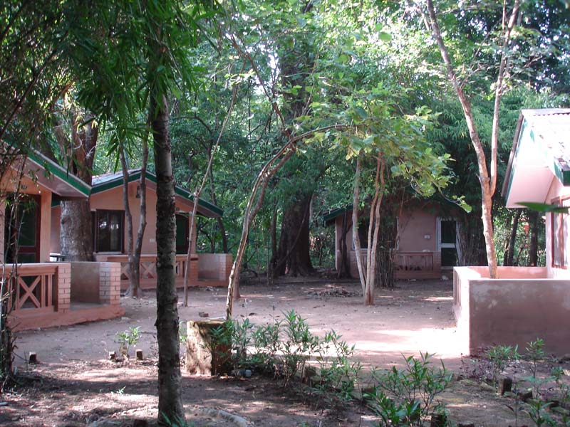 Maharajas Royal Retreat in Bandhavgarh