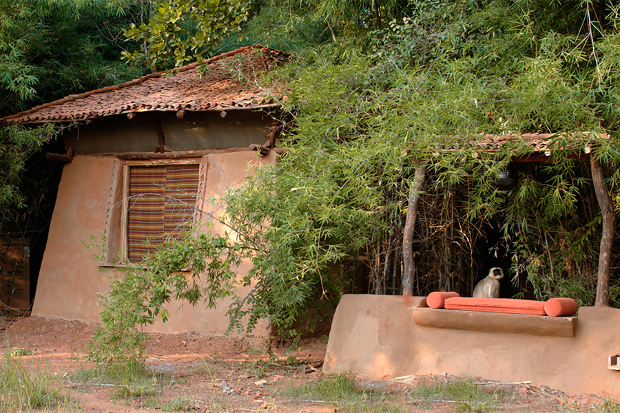 Mahua Kothi in Bandhavgarh