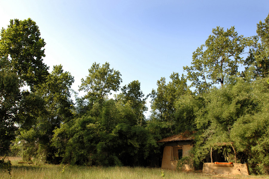 Mahua Kothi in Bandhavgarh