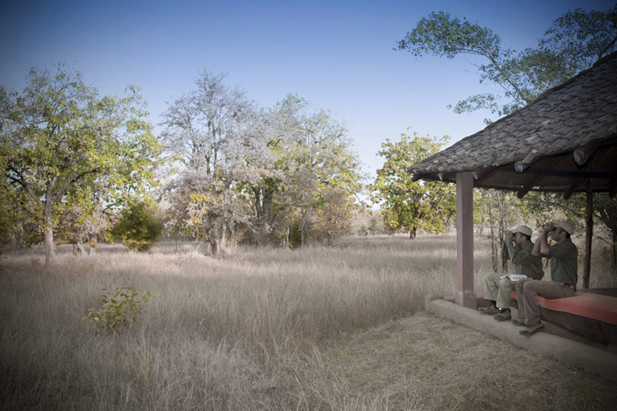 Mahua Kothi in Bandhavgarh