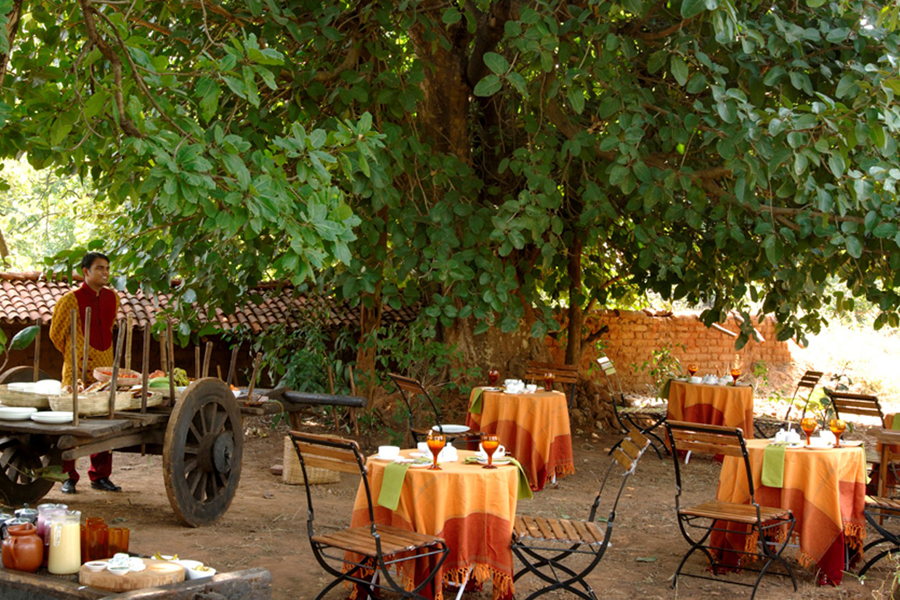 Mahua Kothi in Bandhavgarh