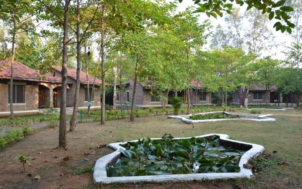 Mogli Resort in Bandhavgarh