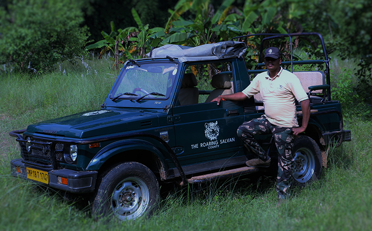 Bandhavgarh Meadows in Bandhavgarh