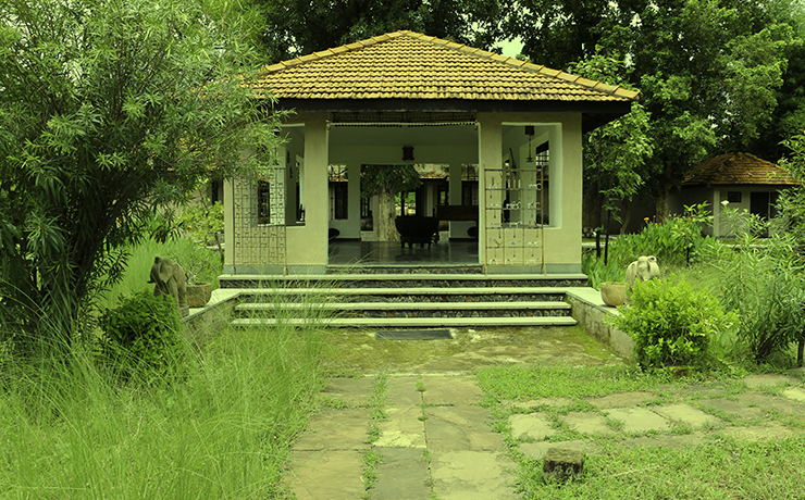 Bandhavgarh Meadows in Bandhavgarh