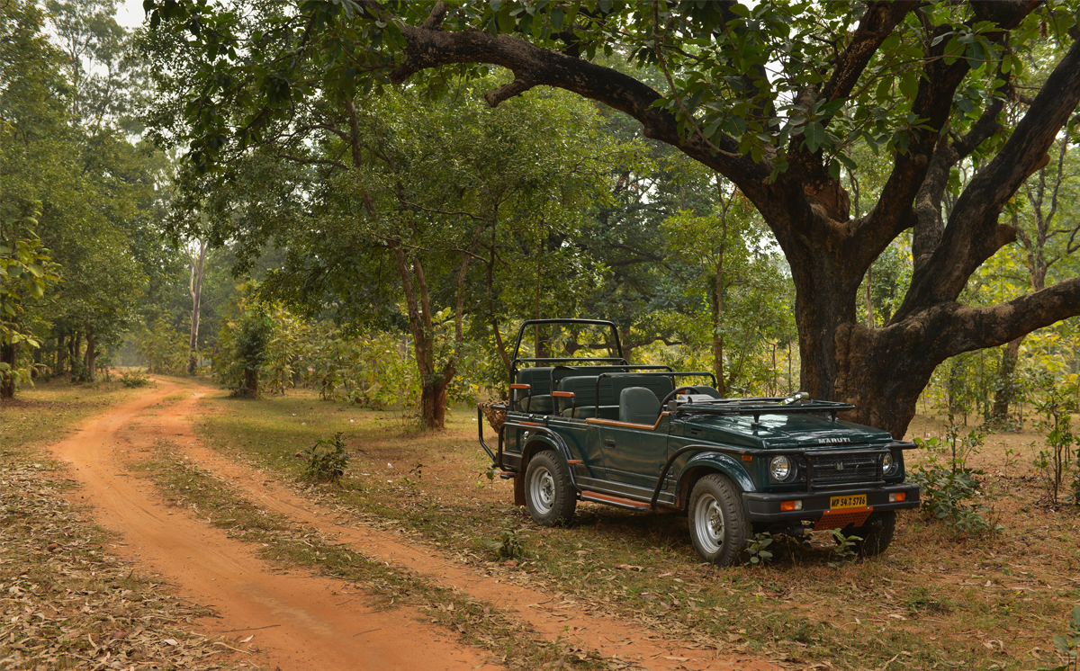 Syna Tiger Resort in Bandhavgarh