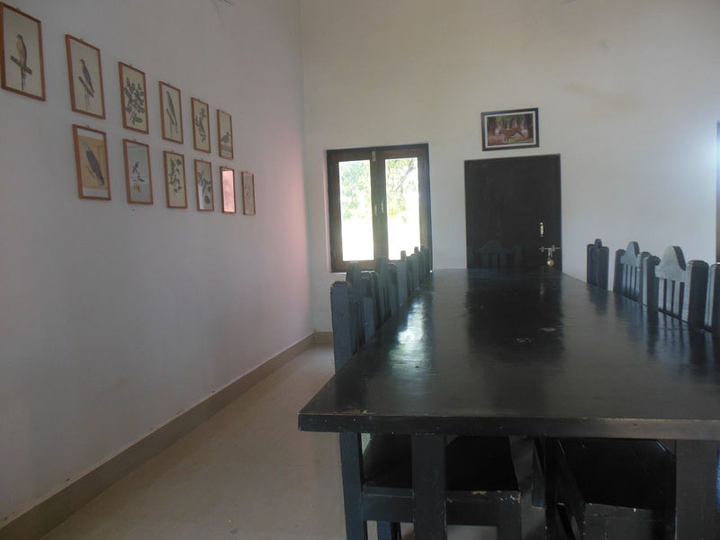 Tala Camp in Bandhavgarh