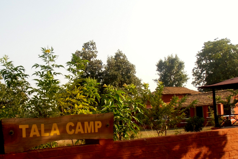 Tala Camp in Bandhavgarh