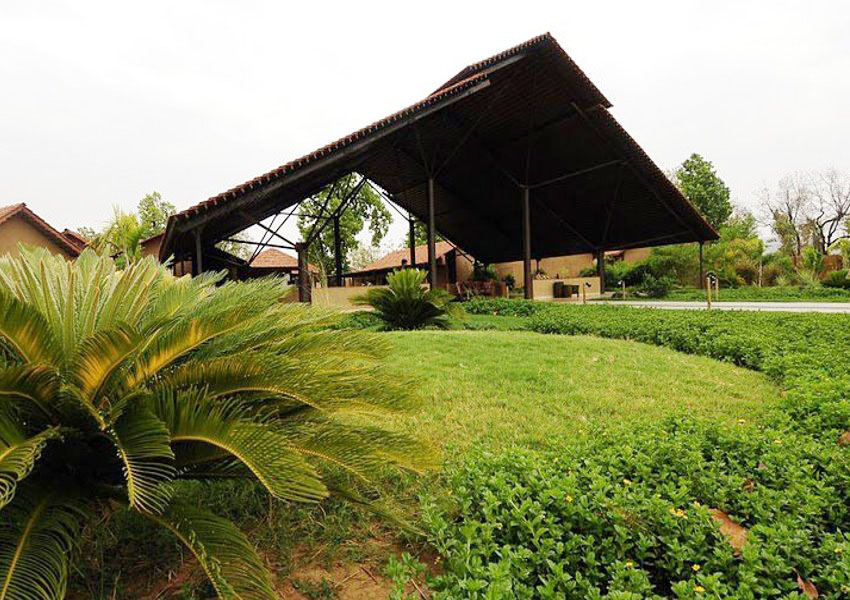 The Celebration Van Vilas in Bandhavgarh