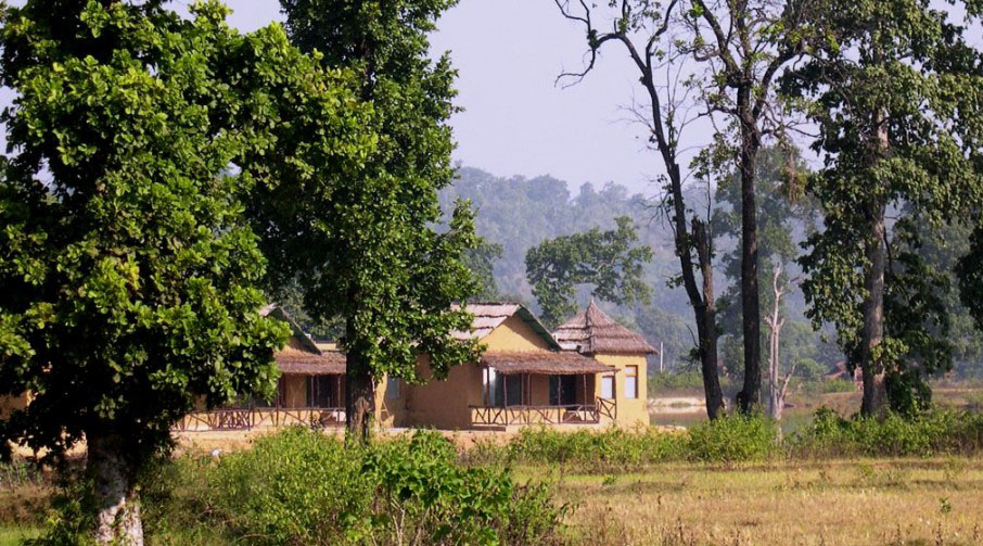 Tiger Lagoon in Bandhavgarh