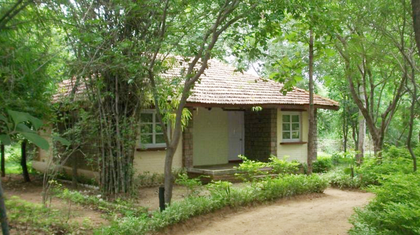 Tiger Trails Resort in Bandhavgarh