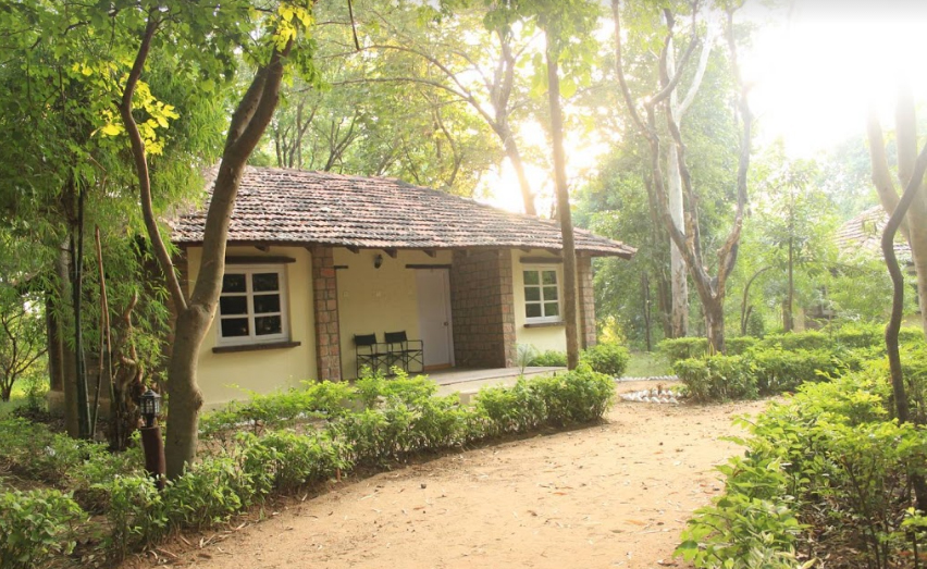 Tiger Trails Resort in Bandhavgarh