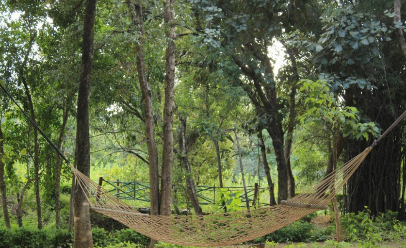 Tiger Trails Resort in Bandhavgarh