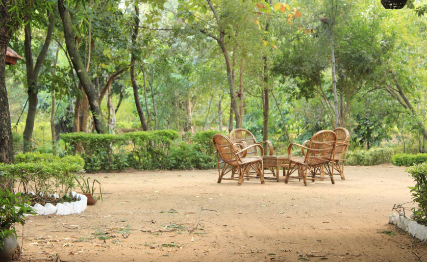 Tiger Trails Resort in Bandhavgarh