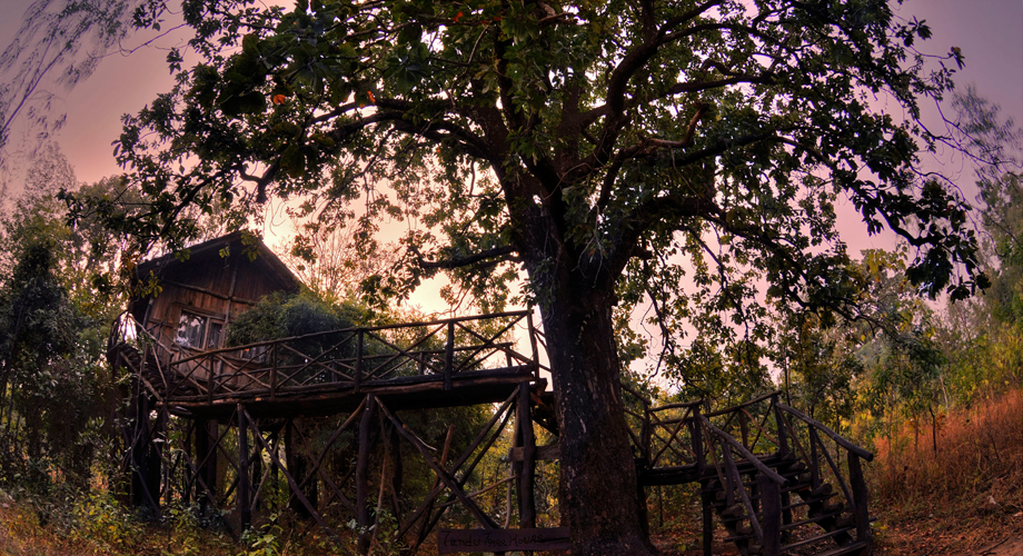 Tree House Hideaway in Bandhavgarh