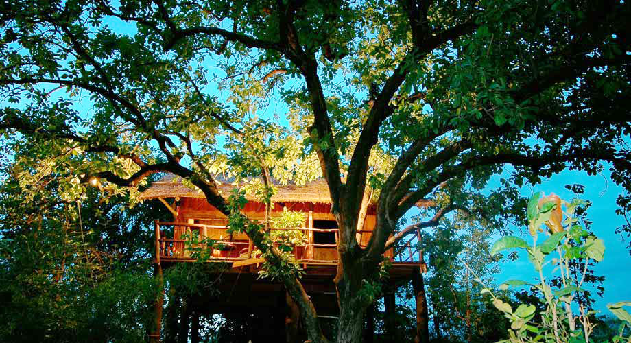 Tree House Hideaway Badhavgarh