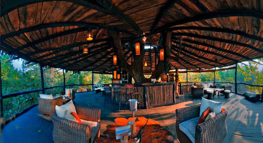 Tree House Hideaway in Bandhavgarh