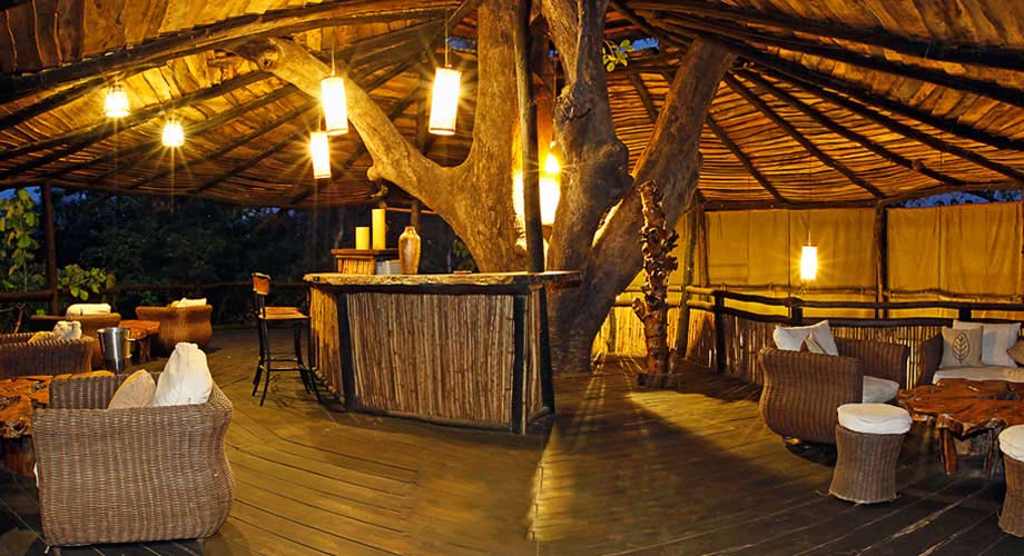 Tree House Hideaway in Bandhavgarh