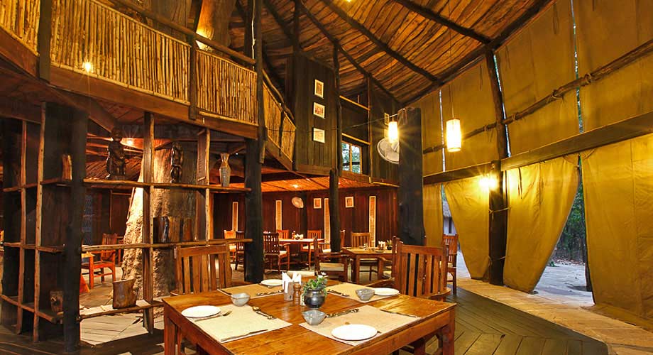 Tree House Hideaway in Bandhavgarh