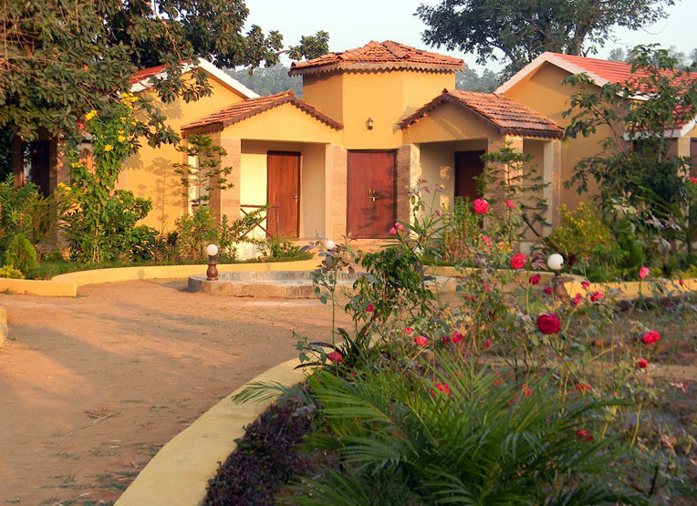 Wild Flower Resort in Bandhavgarh