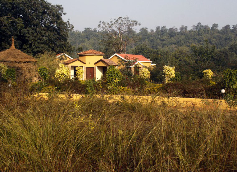 Wild Flower Resort in Bandhavgarh