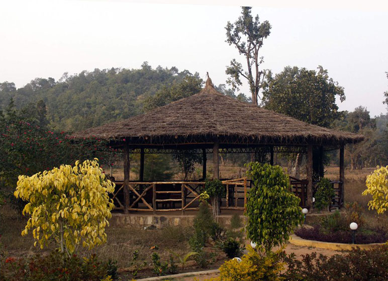 Wild Flower Resort in Bandhavgarh