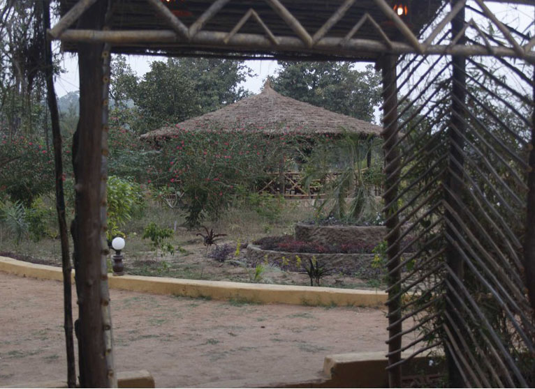 Wild Flower Resort in Bandhavgarh