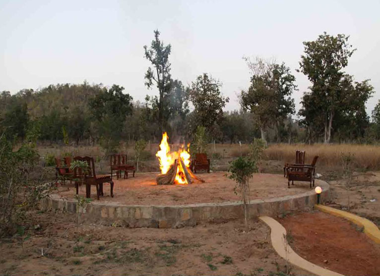 Wild Flower Resort in Bandhavgarh