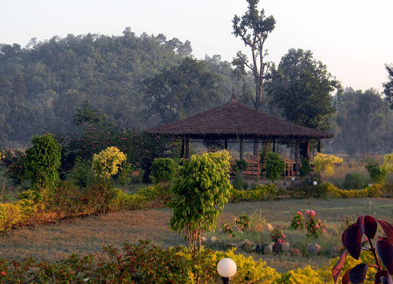 Wild Flower Resort in Bandhavgarh