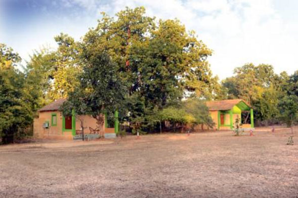 Wild Heaven Resort in Bandhavgarh