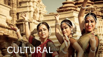 Cultural Tours