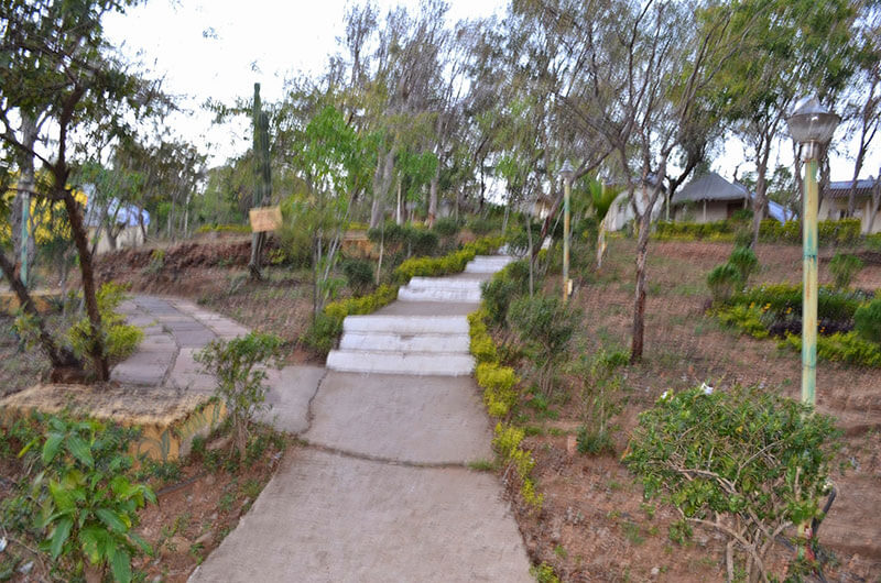 Vanasthali Cottages Pachmarhi