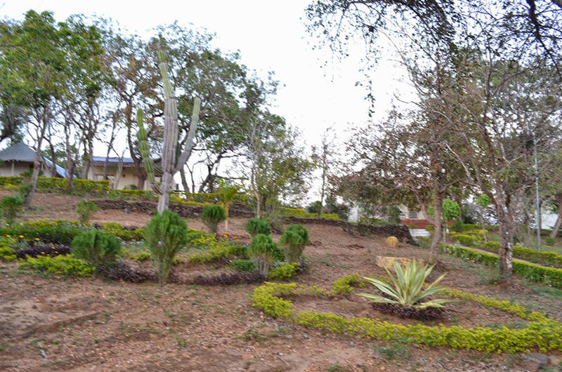 Vanasthali Cottages Pachmarhi