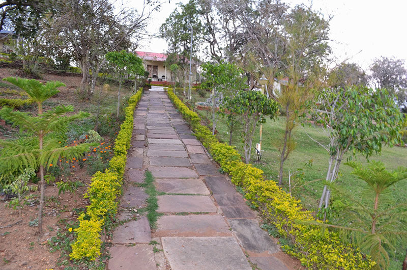 Vanasthali Cottages Pachmarhi