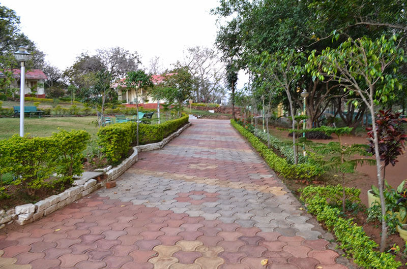 Vanasthali Cottages Pachmarhi