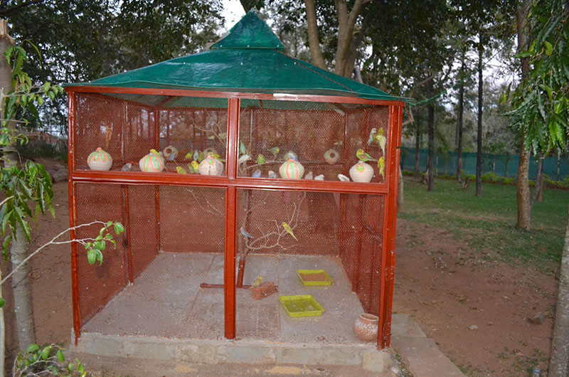 Vanasthali Cottages Pachmarhi