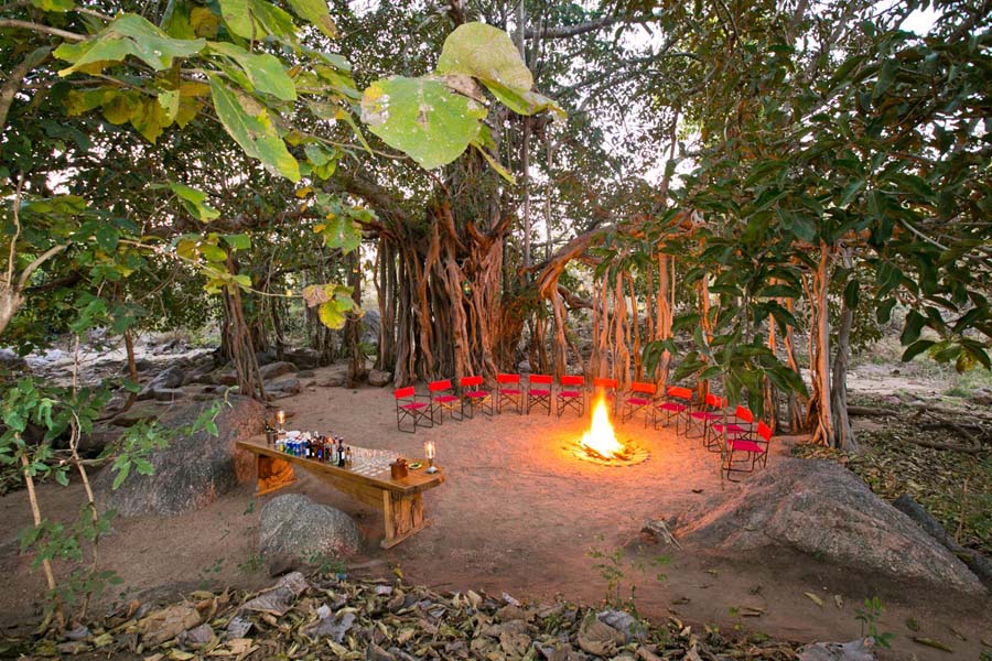 Jamtara Wilderness Camp Pench