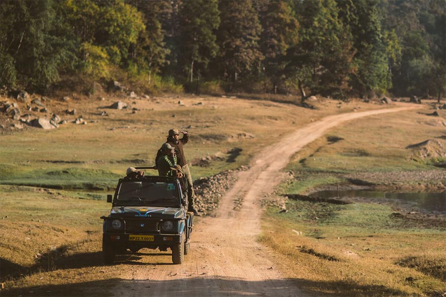 Jamtara Wilderness Camp Pench