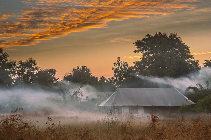 Jamtara Wilderness Camp Pench