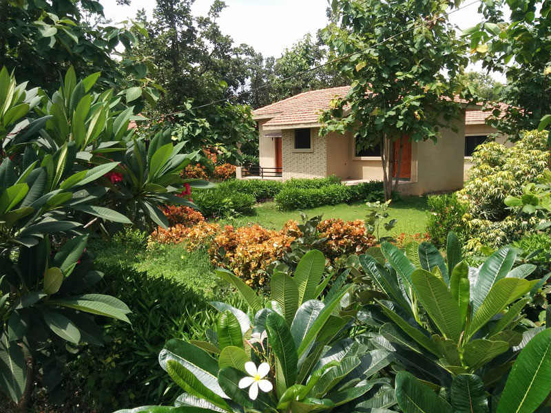 Olive Resorts & Villas Pench