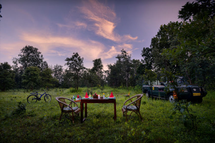 Pench Jungle Camp