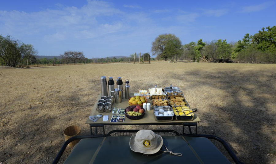 Pench Tree Lodge Pench